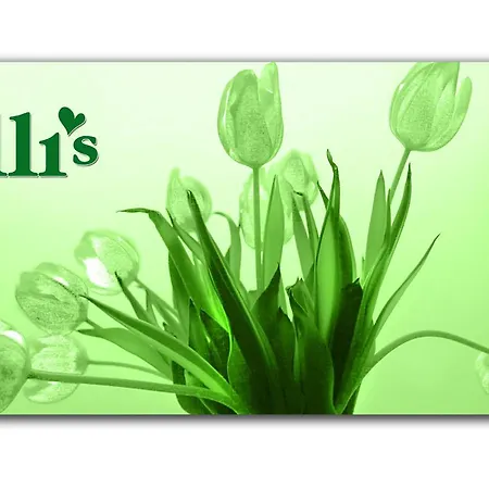Elli's שוואבאך